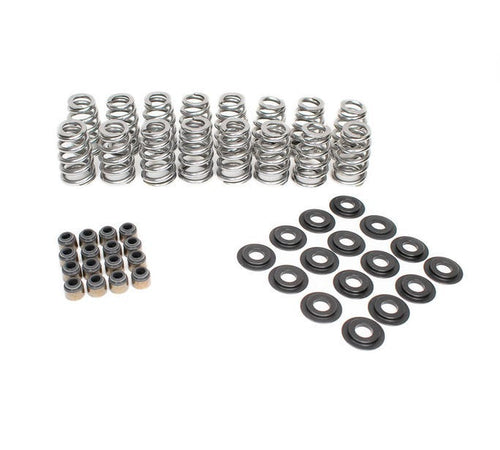 BTR SK018 Beehive Valve Spring Kit